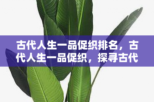 古代人生一品促织排名，古代人生一品促织，探寻古代文化中的独特魅力