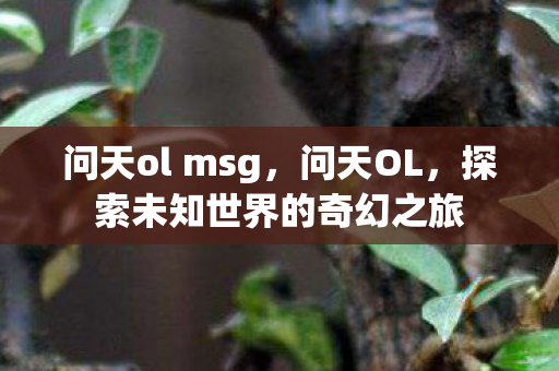 问天ol msg，问天OL，探索未知世界的奇幻之旅