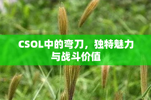 CSOL中的弯刀，独特魅力与战斗价值