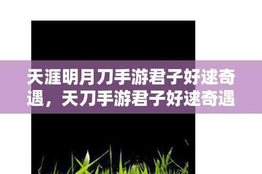 天涯明月刀手游君子好逑奇遇，天刀手游君子好逑奇遇，探索浪漫江湖的奇遇之旅