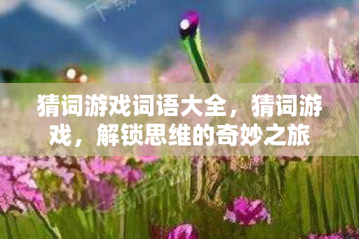 猜词游戏词语大全，猜词游戏，解锁思维的奇妙之旅