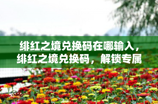 绯红之境兑换码在哪输入，绯红之境兑换码，解锁专属福利，畅享游戏乐趣