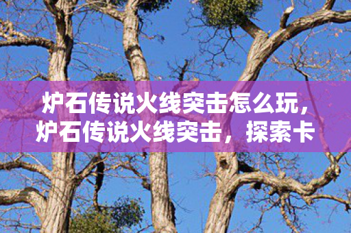 炉石传说火线突击怎么玩，炉石传说火线突击，探索卡牌策略的深度与激情