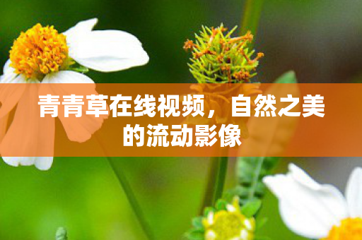 青青草在线视频，自然之美的流动影像