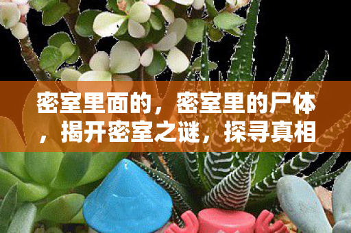 密室里面的，密室里的尸体，揭开密室之谜，探寻真相的边界