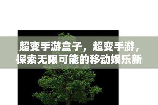 超变手游盒子，超变手游，探索无限可能的移动娱乐新纪元