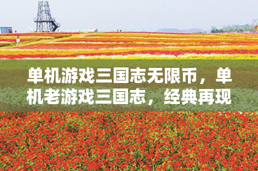 单机游戏三国志无限币，单机老游戏三国志，经典再现，情怀永存