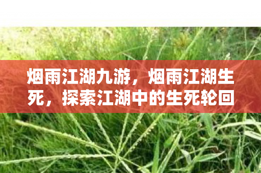 烟雨江湖九游，烟雨江湖生死，探索江湖中的生死轮回