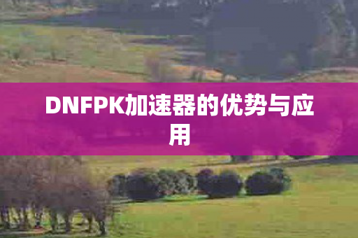 DNFPK加速器的优势与应用