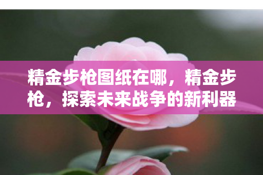 精金步枪图纸在哪，精金步枪，探索未来战争的新利器
