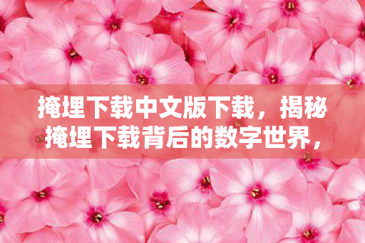 掩埋下载中文版下载，揭秘掩埋下载背后的数字世界，探索合法下载的新途径