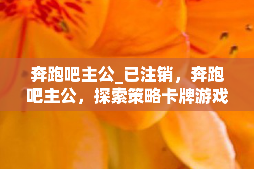 奔跑吧主公_已注销，奔跑吧主公，探索策略卡牌游戏的魅力与乐趣