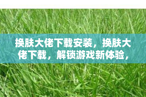 换肤大佬下载安装，换肤大佬下载，解锁游戏新体验，安全合规是关键