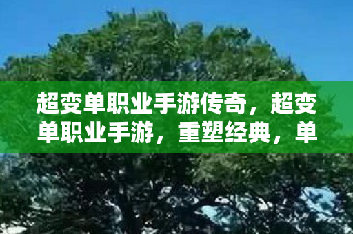 超变单职业手游传奇，超变单职业手游，重塑经典，单职业新体验