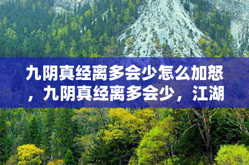九阴真经离多会少怎么加怒,九阴真经离多会少,江湖中的传承与变迁 九阴真经离多会少怎么加怒,九阴真经离多会少,江湖中的传承与变迁