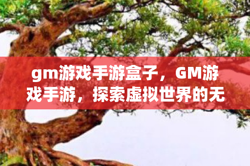 gm游戏手游盒子，GM游戏手游，探索虚拟世界的无限可能