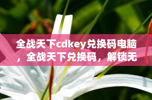 全战天下cdkey兑换码电脑，全战天下兑换码，解锁无限可能的策略游戏之旅