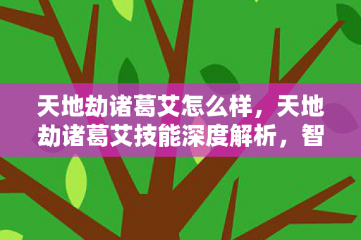 天地劫诸葛艾怎么样，天地劫诸葛艾技能深度解析，智谋与策略的完美结合