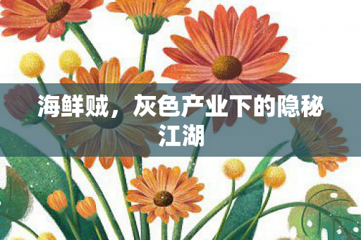 海鲜贼，灰色产业下的隐秘江湖