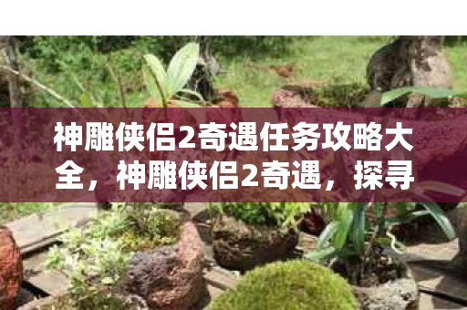 神雕侠侣2奇遇任务攻略大全，神雕侠侣2奇遇，探寻江湖中的神秘事件