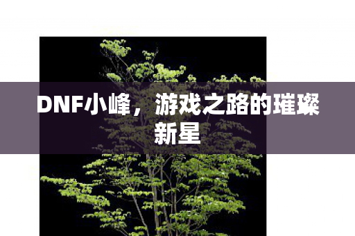 DNF小峰,游戏之路的璀璨新星 DNF小峰,游戏之路的璀璨新星