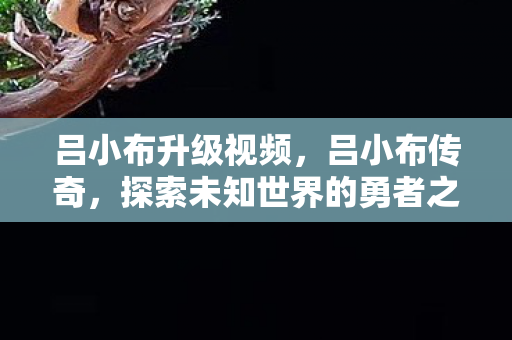 吕小布升级视频，吕小布传奇，探索未知世界的勇者之旅