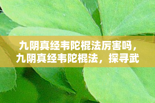 九阴真经韦陀棍法厉害吗，九阴真经韦陀棍法，探寻武侠世界的奥秘