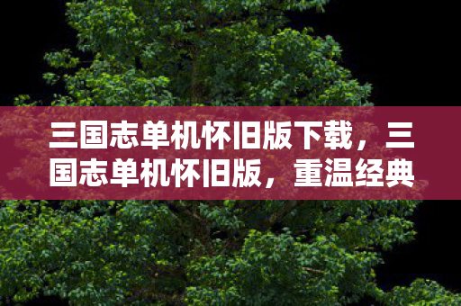 三国志单机怀旧版下载，三国志单机怀旧版，重温经典，感受历史