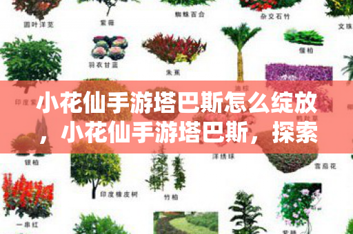 小花仙手游塔巴斯怎么绽放，小花仙手游塔巴斯，探索神秘世界的奇妙之旅