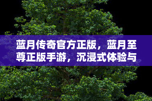 蓝月传奇官方正版，蓝月至尊正版手游，沉浸式体验与极致战斗