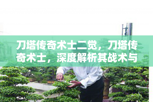 刀塔传奇术士二觉,刀塔传奇术士,深度解析其战术与策略 刀塔传奇术士二觉,刀塔传奇术士,深度解析其战术与策略