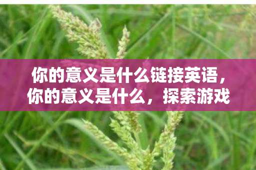 你的意义是什么链接英语，你的意义是什么，探索游戏世界的无限可能