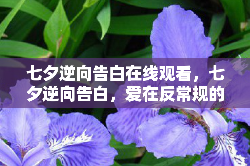 七夕逆向告白在线观看，七夕逆向告白，爱在反常规的轨迹上绽放