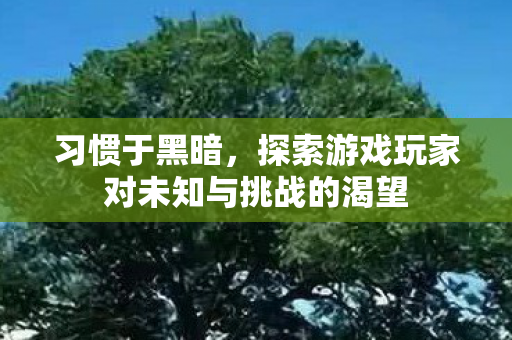 习惯于黑暗，探索游戏玩家对未知与挑战的渴望