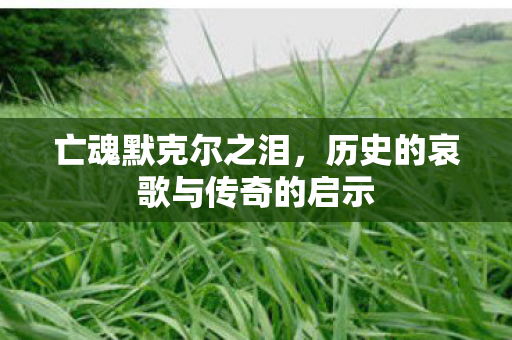 亡魂默克尔之泪，历史的哀歌与传奇的启示