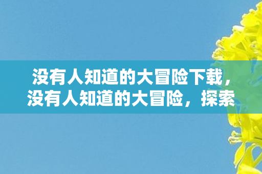 没有人知道的大冒险下载，没有人知道的大冒险，探索未知的网络奇境