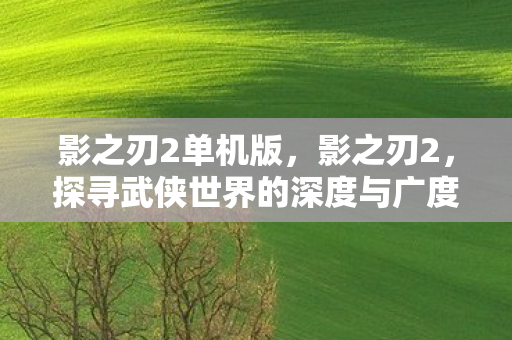 影之刃2单机版，影之刃2，探寻武侠世界的深度与广度