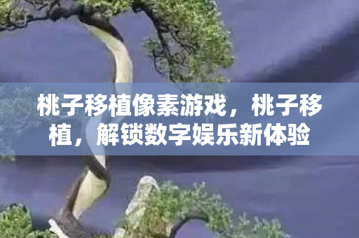 桃子移植像素游戏，桃子移植，解锁数字娱乐新体验