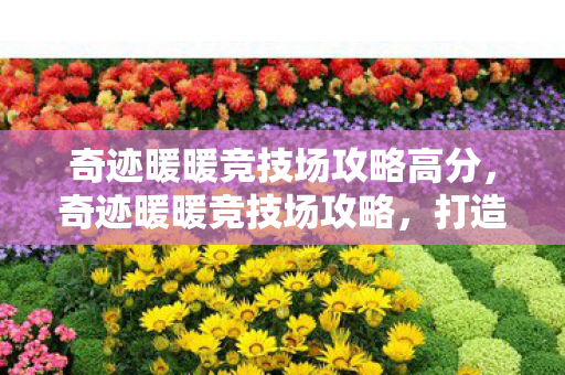 奇迹暖暖竞技场攻略高分，奇迹暖暖竞技场攻略，打造时尚巅峰的必胜法则