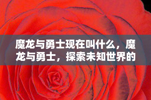 魔龙与勇士现在叫什么，魔龙与勇士，探索未知世界的奇幻之旅