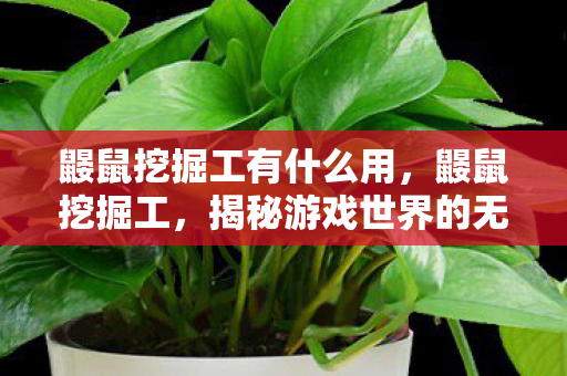 鼹鼠挖掘工有什么用，鼹鼠挖掘工，揭秘游戏世界的无名英雄