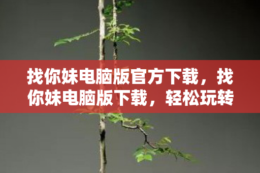 找你妹电脑版官方下载，找你妹电脑版下载，轻松玩转经典找茬游戏