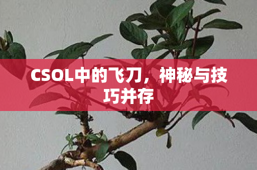 CSOL中的飞刀，神秘与技巧并存