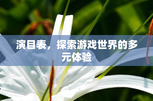演目表，探索游戏世界的多元体验