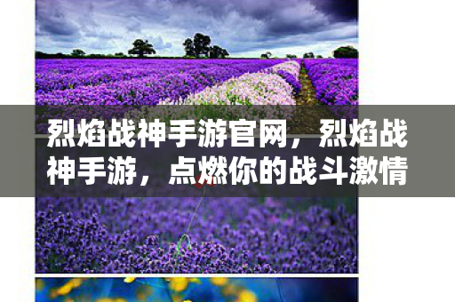 烈焰战神手游官网，烈焰战神手游，点燃你的战斗激情，探索未知的世界