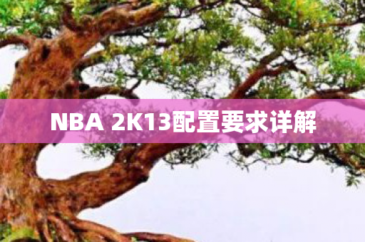 NBA 2K13配置要求详解