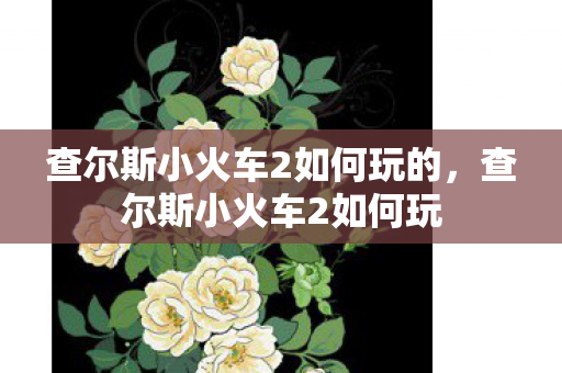 查尔斯小火车2如何玩的，查尔斯小火车2如何玩