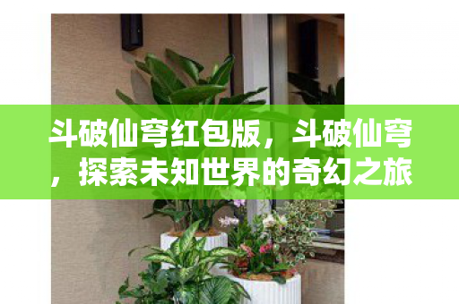 斗破仙穹红包版，斗破仙穹，探索未知世界的奇幻之旅