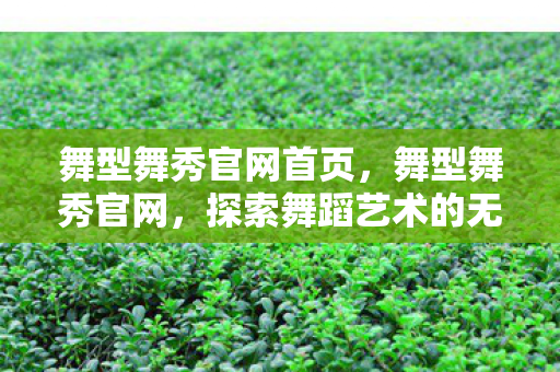 舞型舞秀官网首页，舞型舞秀官网，探索舞蹈艺术的无限可能