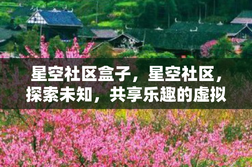 星空社区盒子，星空社区，探索未知，共享乐趣的虚拟天地